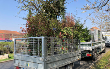 amenagement jardins roncq